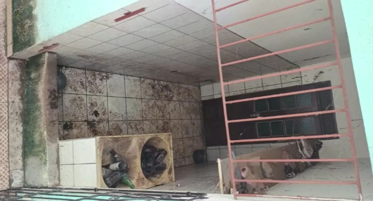 Maus-tratos a animais