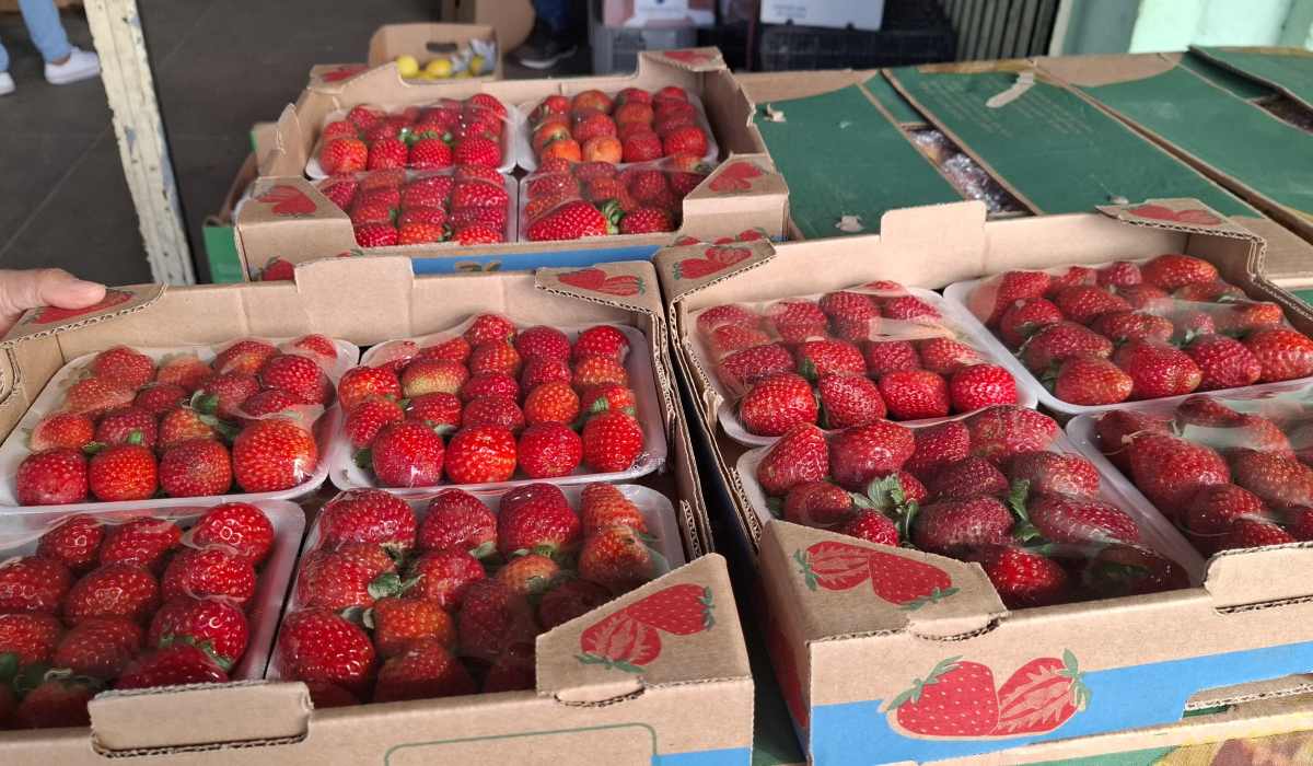 Morango do Amor dispara demanda e eleva preço da fruta no Centro de Abastecimento Morango do Amor dispara demanda e eleva preço da fruta no Centro de Abastecimento