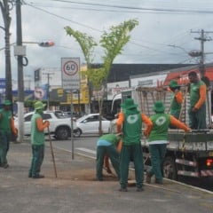  Foto: Apolo Rocha 