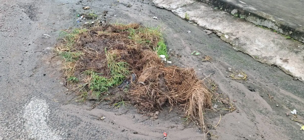 Moradores cobram solução para ruas esburacadas