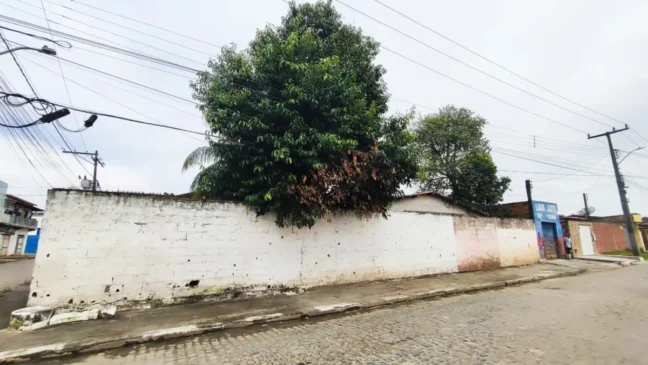 Rua Tupirama - no bairro Parque Ipê - moradores pedem poda de árvores