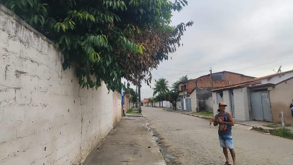 Rua Tupirama - no bairro Parque Ipê - moradores pedem poda de árvores