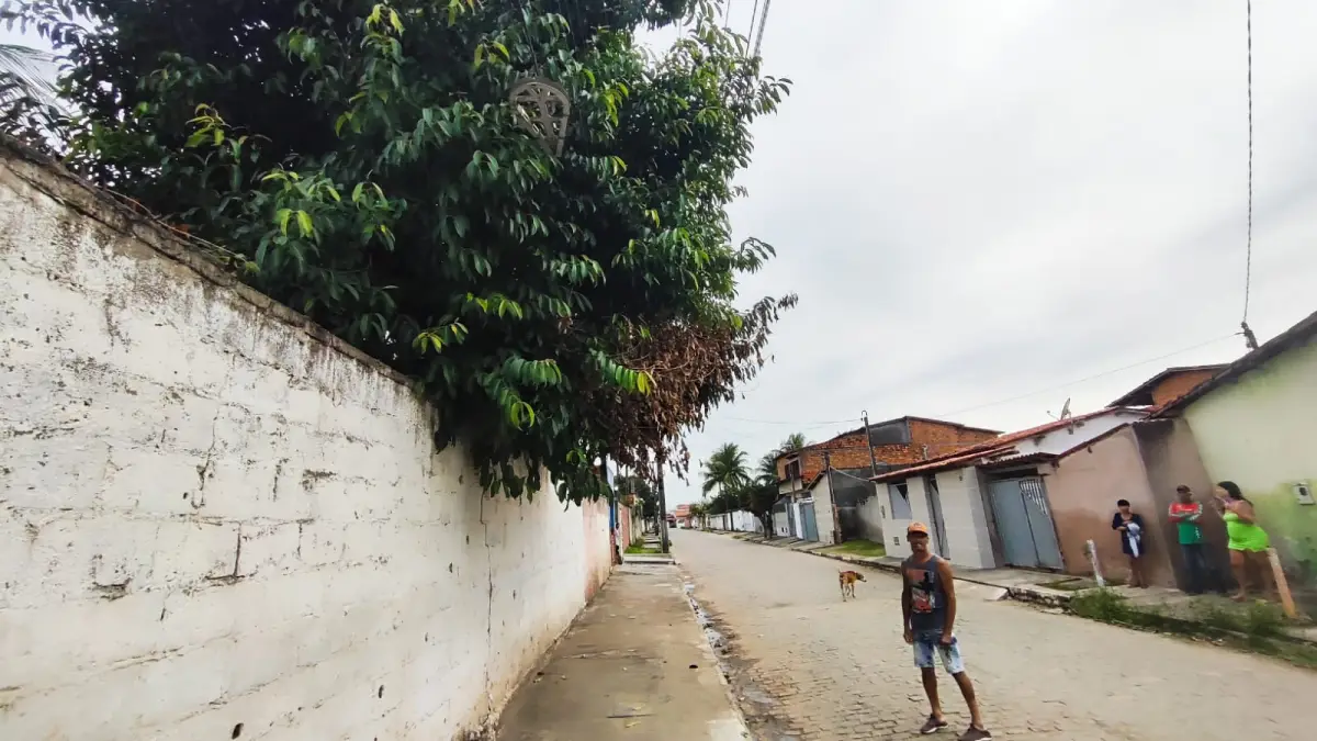 Rua Tupirama - no bairro Parque Ipê - moradores pedem poda de árvores