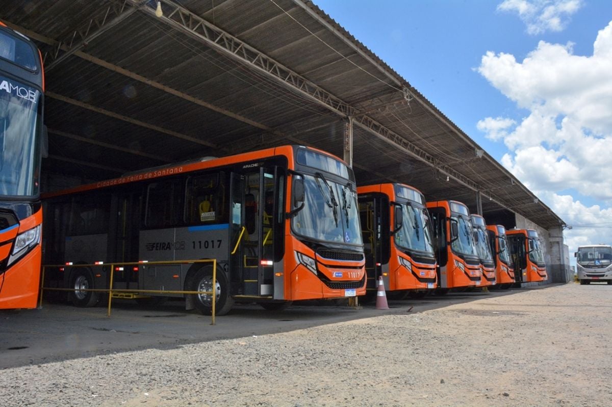 Transporte coletivo ônibus