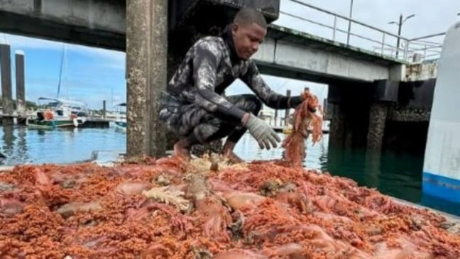 Foto: Reprodução / Bahia Notícias 