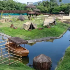 gripe aviária no bioparque