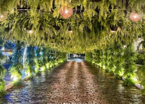 Decoração com samambaias Cidade Jardim Festival