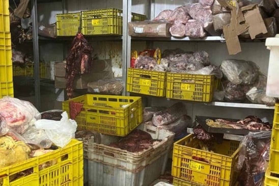 Fiscalização vigilância sanitária
