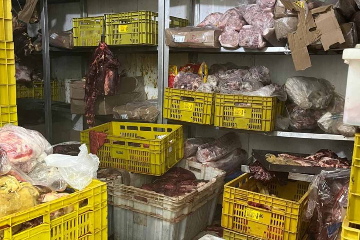 Fiscalização vigilância sanitária