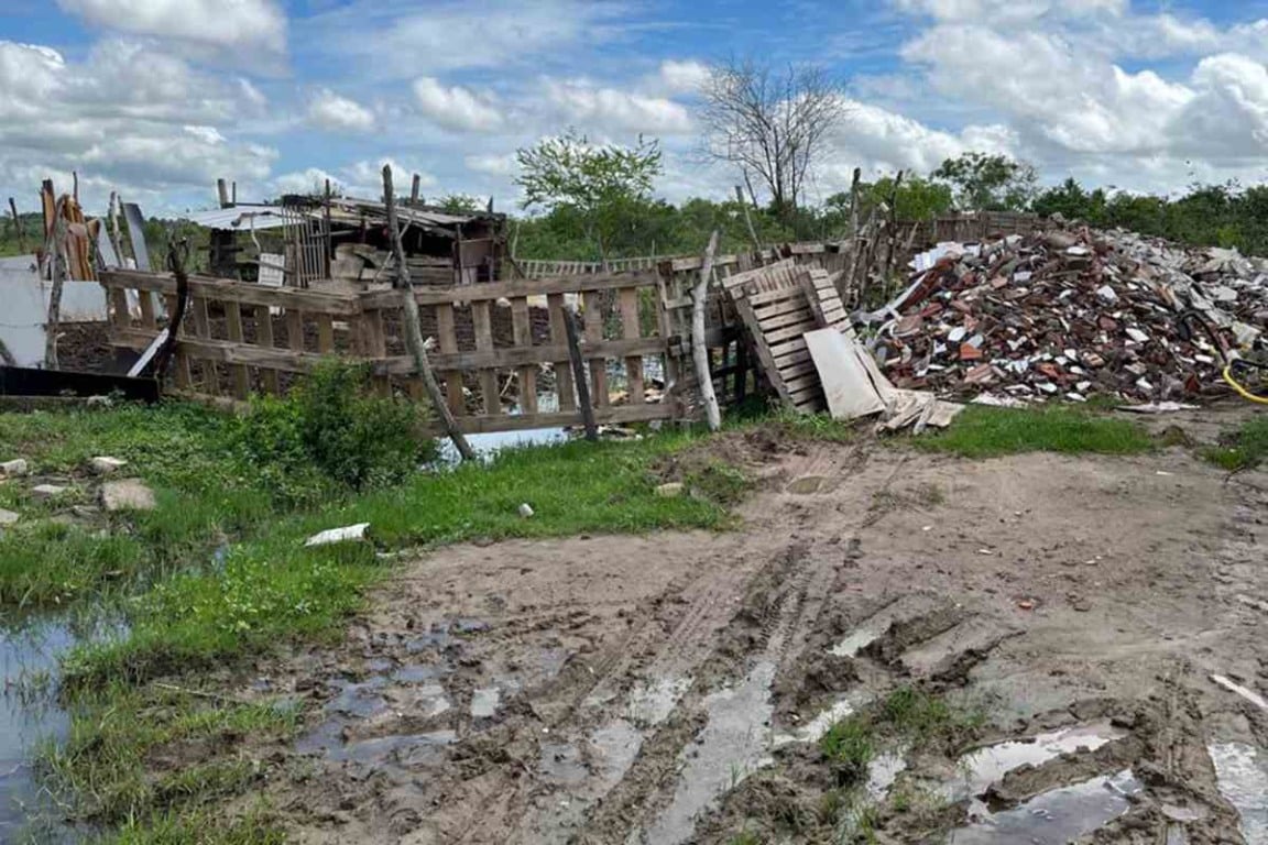 Fiscalização vigilância sanitária