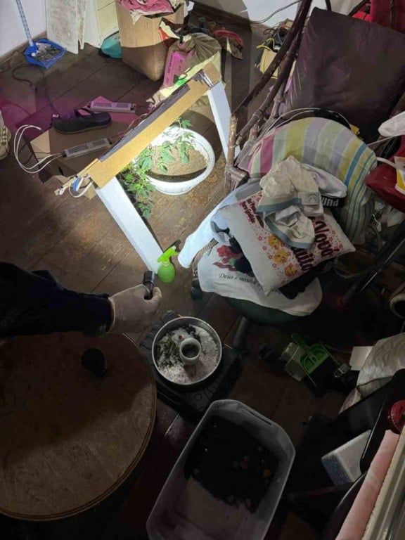 Laboratório de Drogas