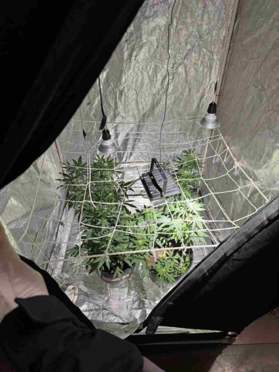 Laboratório de Drogas