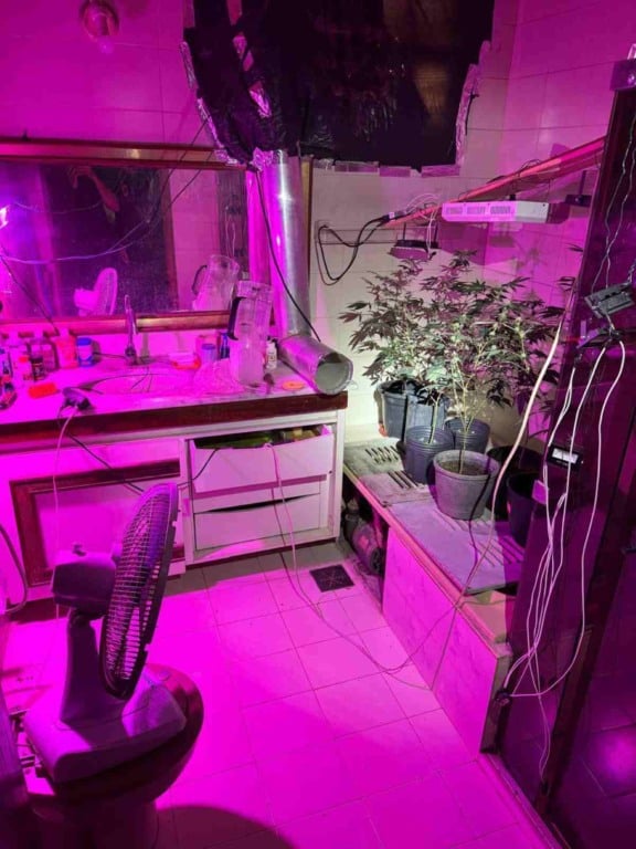Laboratório de Drogas