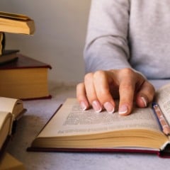 Novas palavras língua portuguesa