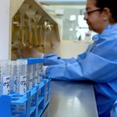 vacinação meningite