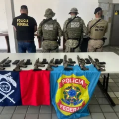 Fuzis apreendidos em Porto Seguro