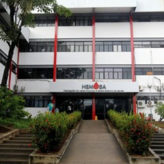 Hemoba Salvador