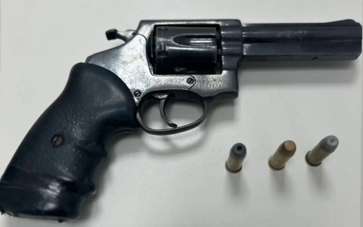 apreensão de arma no Tomba