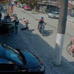 cachorro herói reage a tentativa de assalto