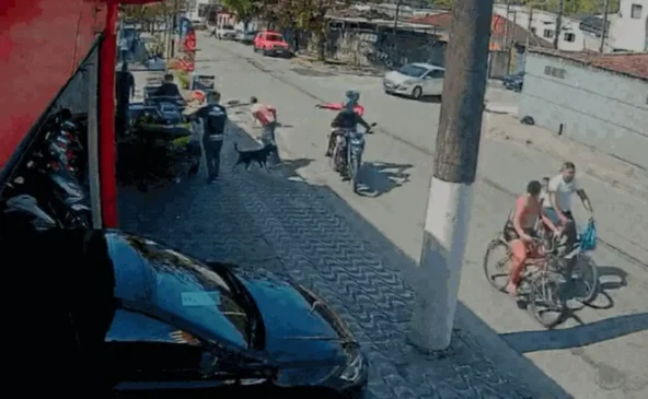 cachorro herói reage a tentativa de assalto