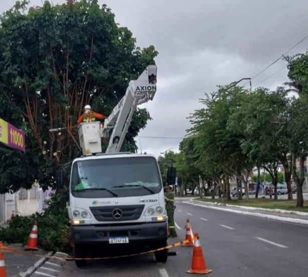 Neoenergia Coelba e Prefeitura de Feira de Santana realizam mais de 200 podas durante mutirão em Feira de Santana