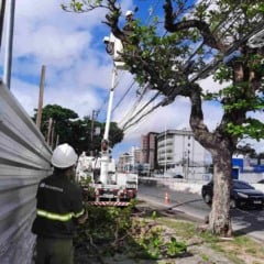 Neoenergia Coelba e Prefeitura de Feira de Santana realizam mais de 200 podas durante mutirão em Feira de Santana
