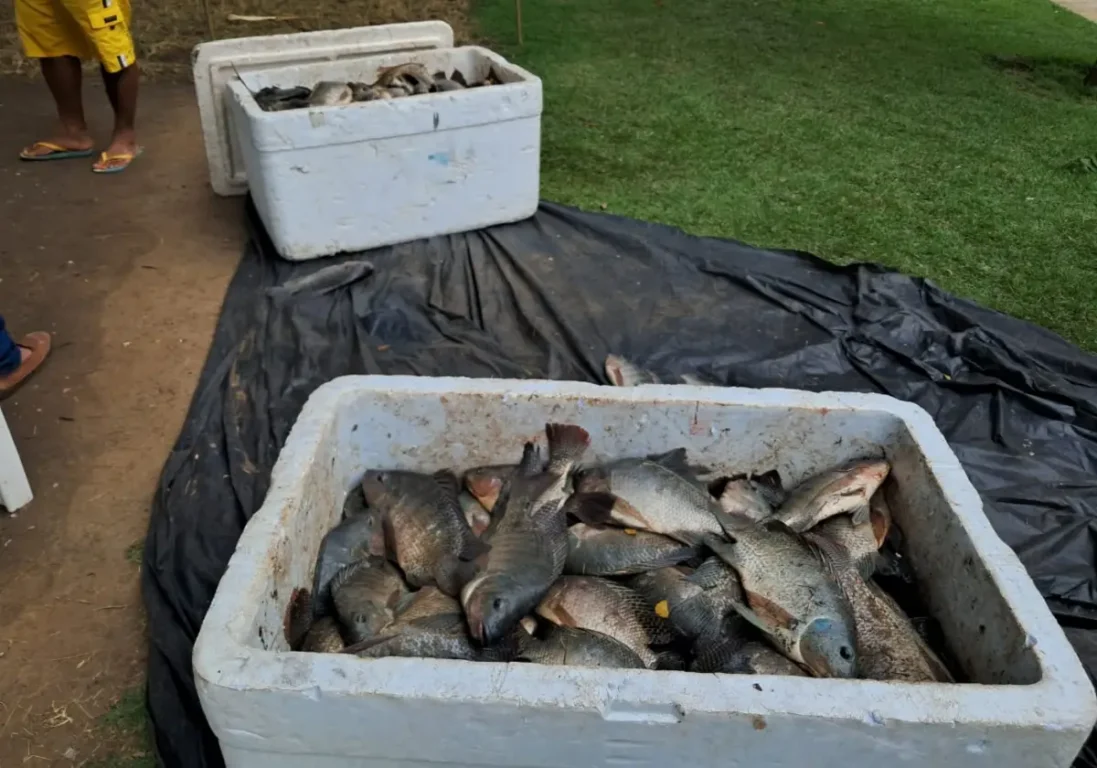 Pesca Solidária