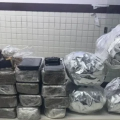apreensão de droga