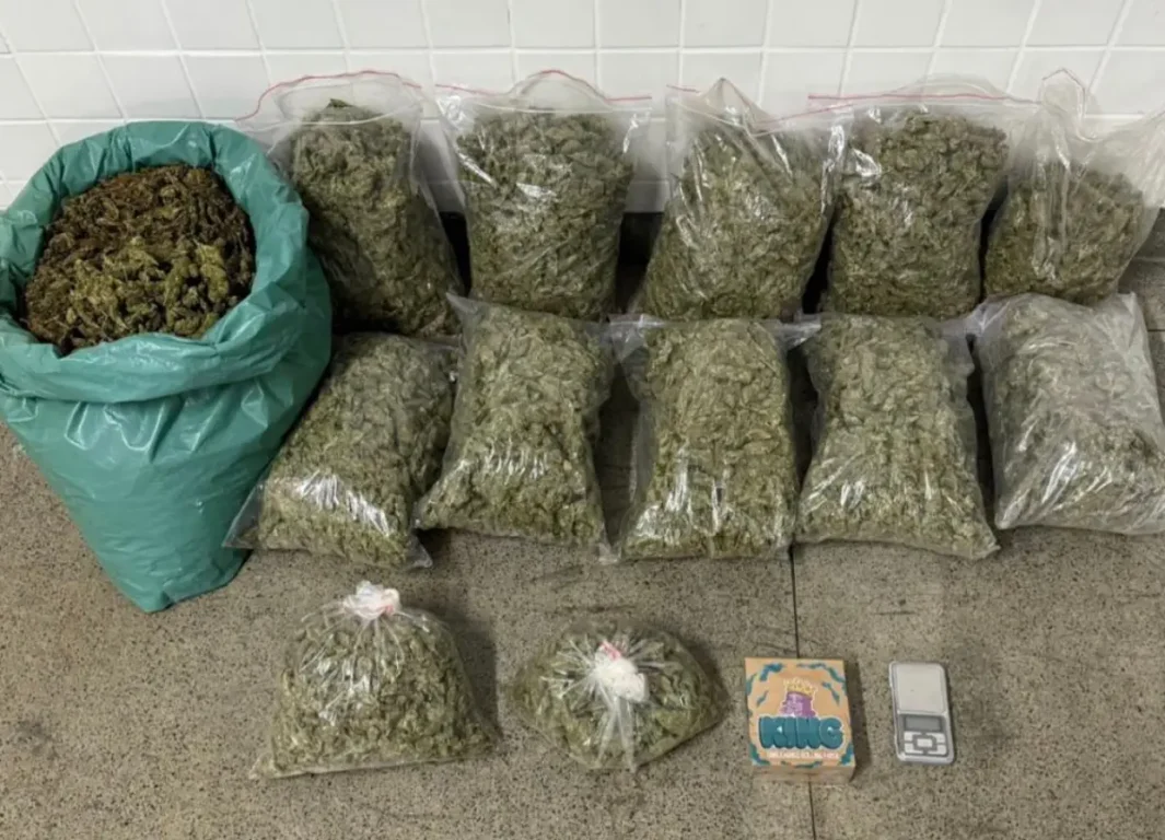 apreensão de maconha