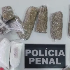 apreensão de maconha pela polícia penal