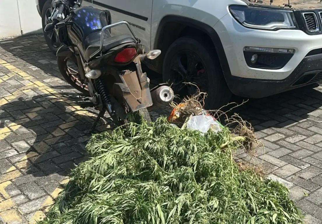 apreensão em Ilhéus