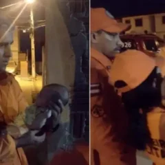 bombeiros salva bebê