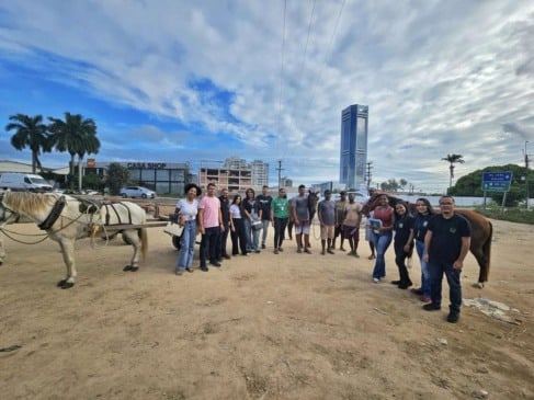 Foto: Divulgação 
