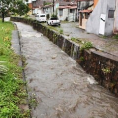 Leptospirose: Prefeitura alerta para cuidados durante período chuvoso em Feira de Santana