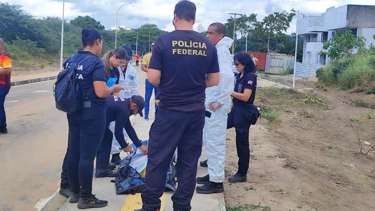 Cidem 2025 promove integração de instituições por meio da simulação de desastres em Feira de Santana