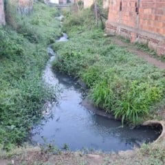 Moradores denunciam mau cheiro vindo esgoto que desagua em córrego no bairro Aviário