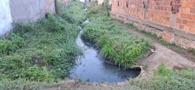 Moradores denunciam mau cheiro vindo esgoto que desagua em córrego no bairro Aviário