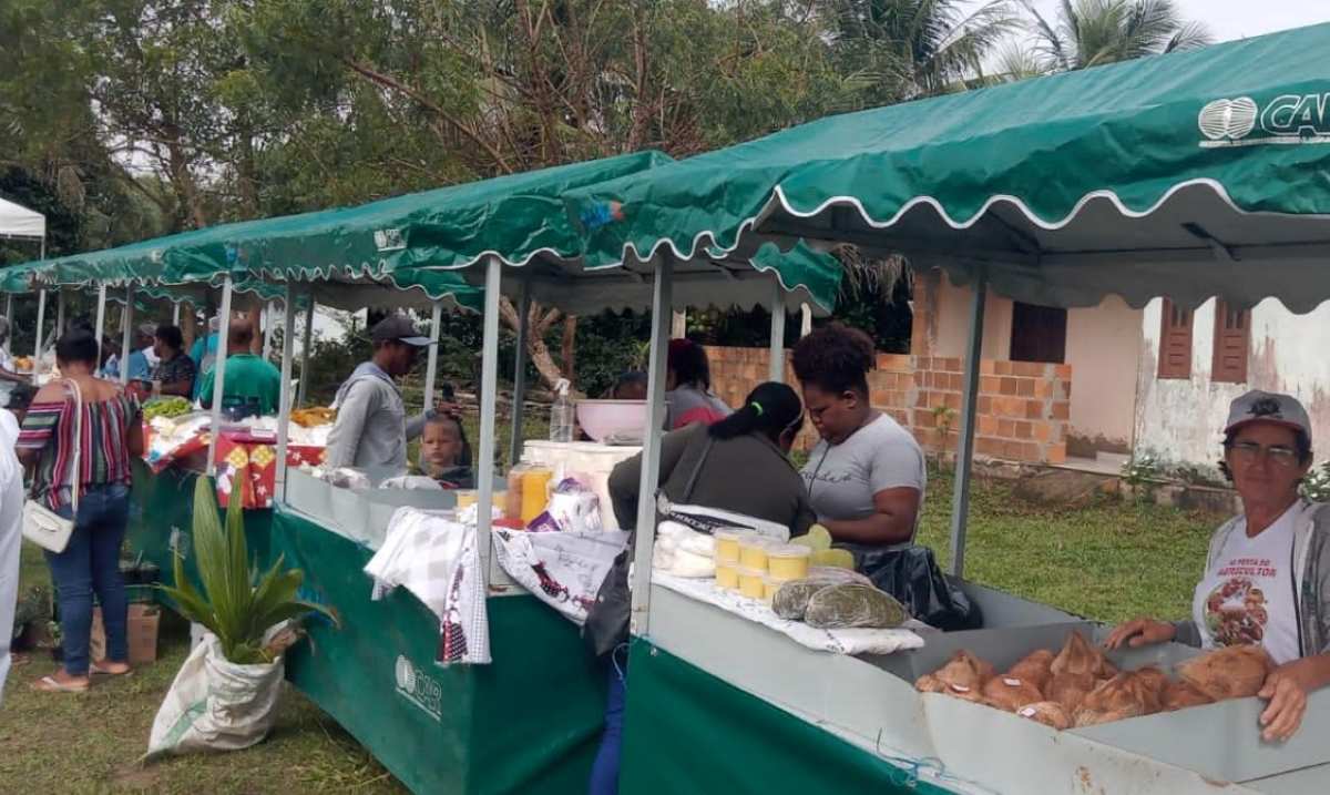 Festa do Agricultor em Conceição da Feira