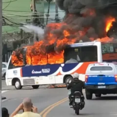 fuzis apreendidos no Rio de Janeiro