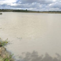 Prefeitura de Feira de Santana autoriza limpeza da Lagoa Grande no distrito de Maria Quitéria e discute revitalização