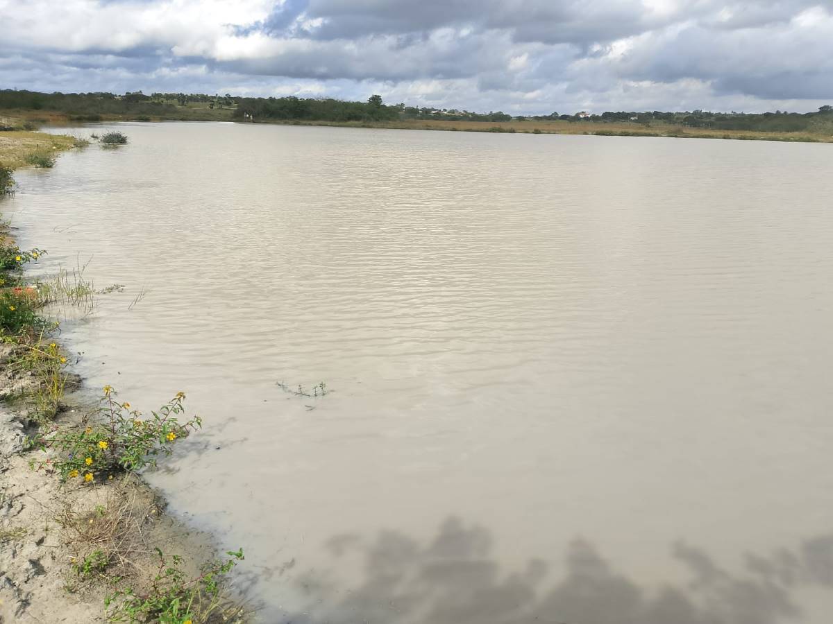 Prefeitura de Feira de Santana autoriza limpeza da Lagoa Grande no distrito de Maria Quitéria e discute revitalização