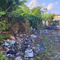 Moradores cobram limpeza e fiscalização de terreno no bairro Santa Mônica