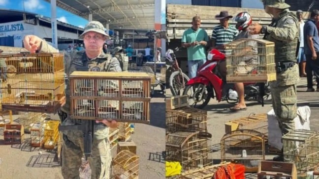 Foto: Reprodução 