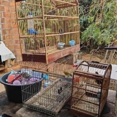 Suspeitos por envolvimento com tráfico interestadual de animais silvestres são presos em Poções