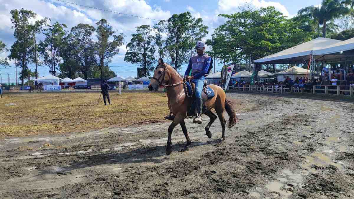 Expofeira 2024 chega ao fim com grande movimentação e destaque para o agronegócio local
