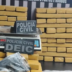 Quase 300 quilos de maconha é apreendida em residência no bairro Mangabeira, em Feira de Santana
