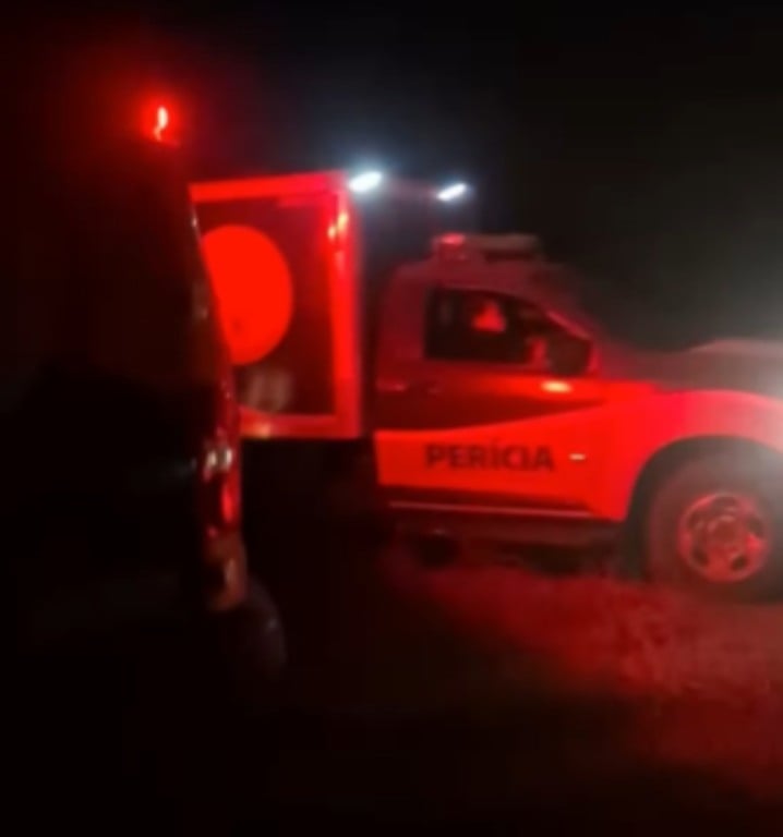 Homem morre após ataque de abelhas em Riachão do Jacuípe