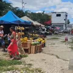 Feirantes da Praça do Tropeiro serão realocados para galpão no Centro de Abastecimento
