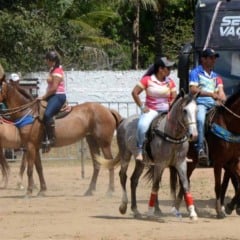 37ª Festa do Vaqueiro do povoado Alecrim Miúdo acontece no próximo fim de semana