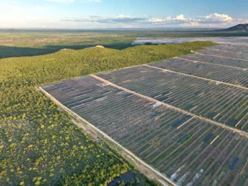 Bahia é o estado do Nordeste que mais perde Caatinga para usinas solares